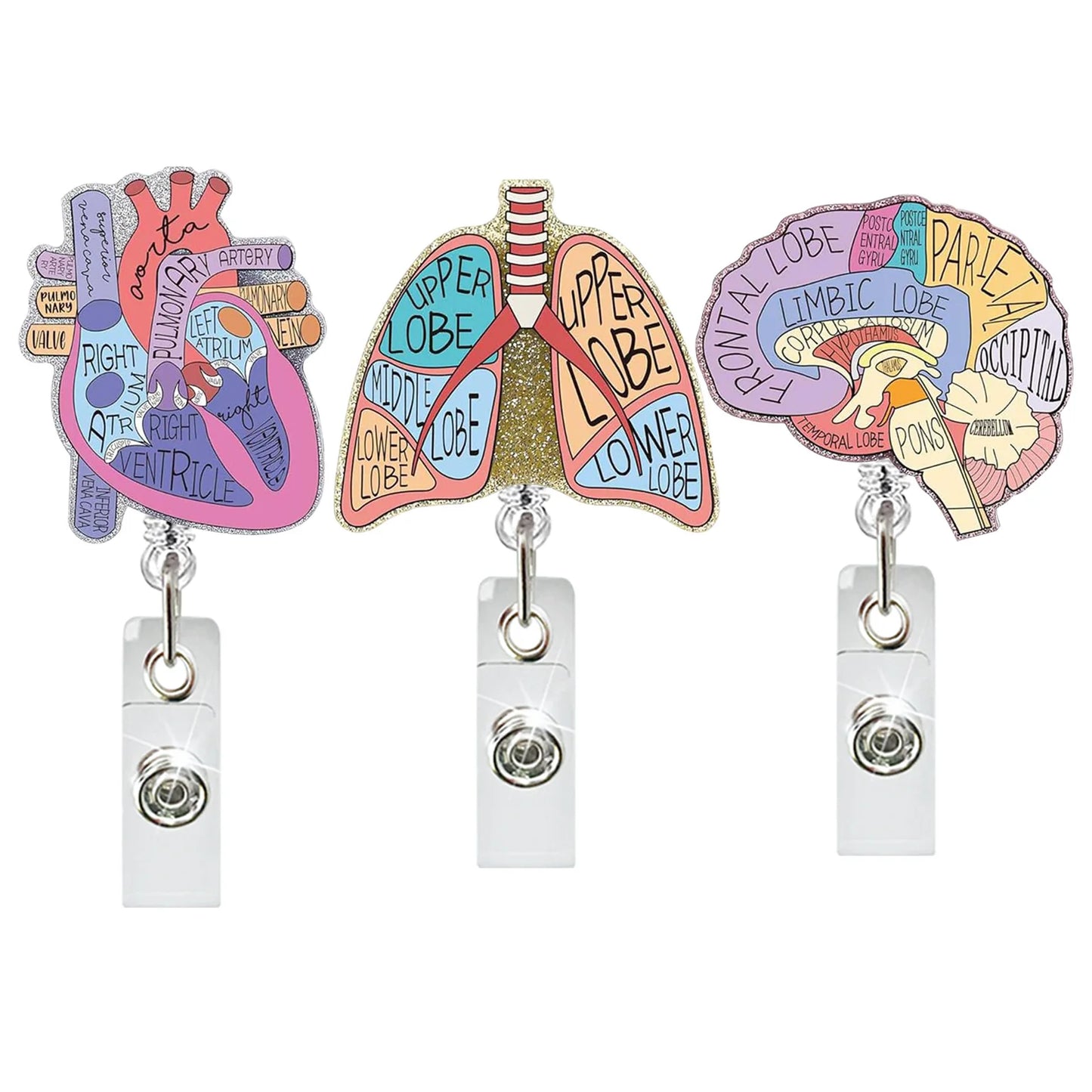 Medical Care Heart Lungs Brain Acrylic Nurse Badge Reel Retractable Id Badge Holder With 360 Rotating Alligator Clip Name Holder